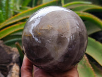 Polished Large Smokey Quartz Sphere x 1 From Madagascar