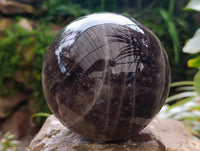 Polished Large Smokey Quartz Sphere x 1 From Madagascar