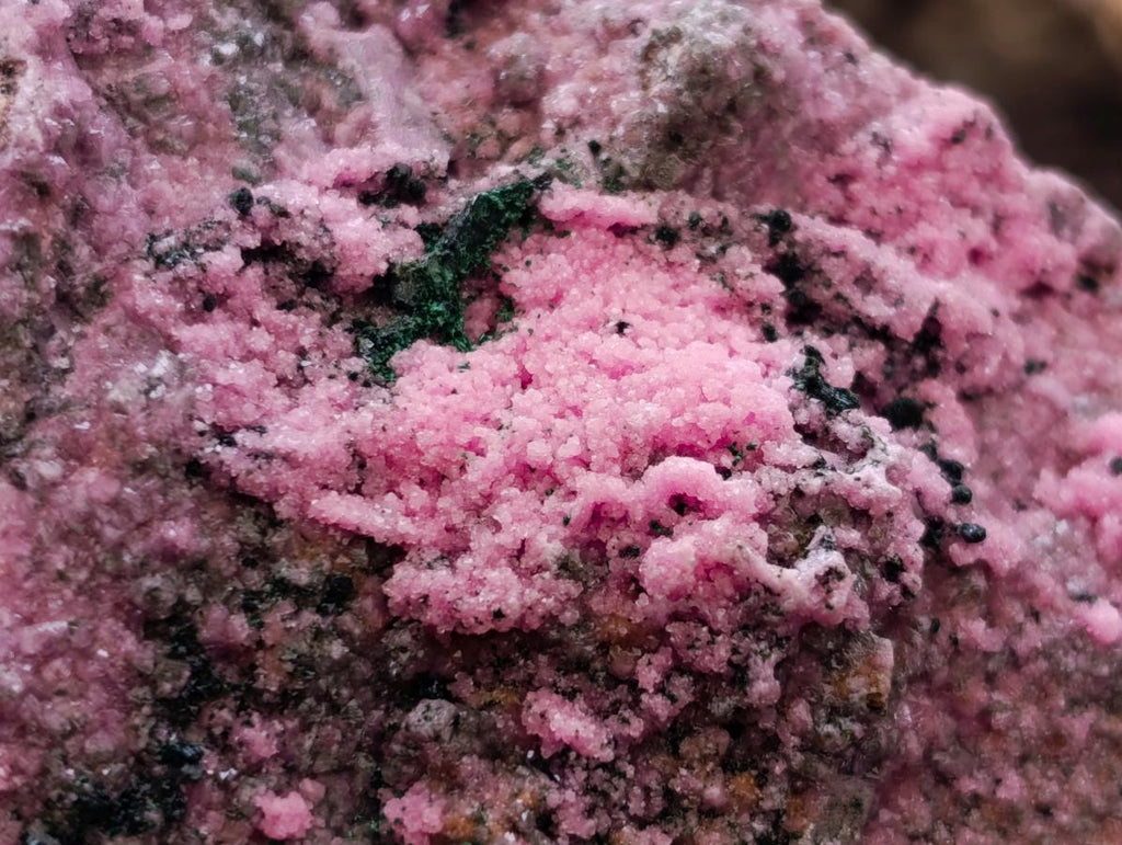 Natural XL Salrose Cobaltion Dolomite with Malachite and Heterogenite Specimen x 1 From Kakanda, Congo