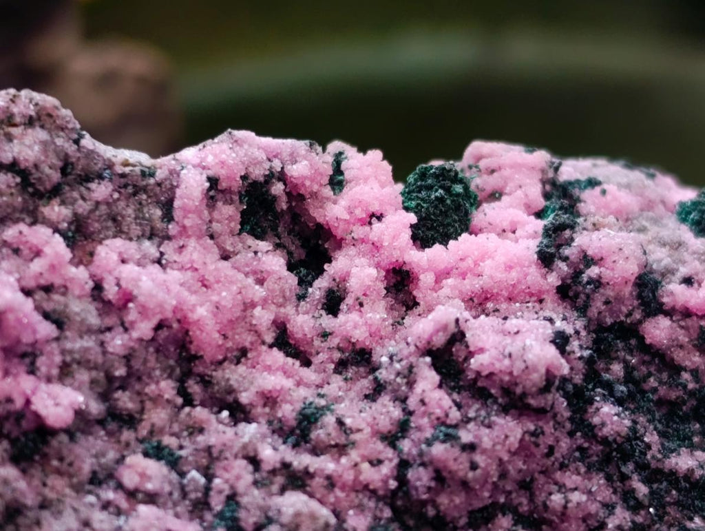 Natural XL Salrose Cobaltion Dolomite with Malachite and Heterogenite Specimen x 1 From Kakanda, Congo