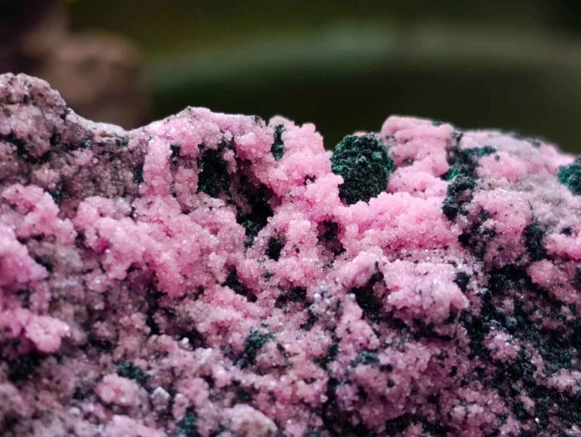 Natural XL Salrose Cobaltion Dolomite with Malachite and Heterogenite Specimen x 1 From Kakanda, Congo