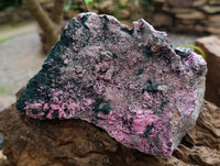 Natural XL Salrose Cobaltion Dolomite with Malachite and Heterogenite Specimen x 1 From Kakanda, Congo