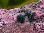 Natural XL Salrose Cobaltion Dolomite with Malachite and Heterogenite Specimen x 1 From Kakanda, Congo