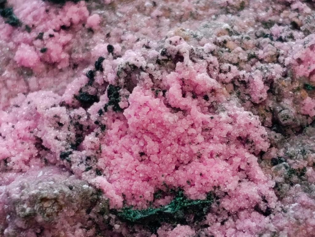 Natural XL Salrose Cobaltion Dolomite with Malachite and Heterogenite Specimen x 1 From Kakanda, Congo