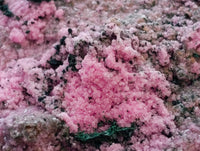 Natural XL Salrose Cobaltion Dolomite with Malachite and Heterogenite Specimen x 1 From Kakanda, Congo