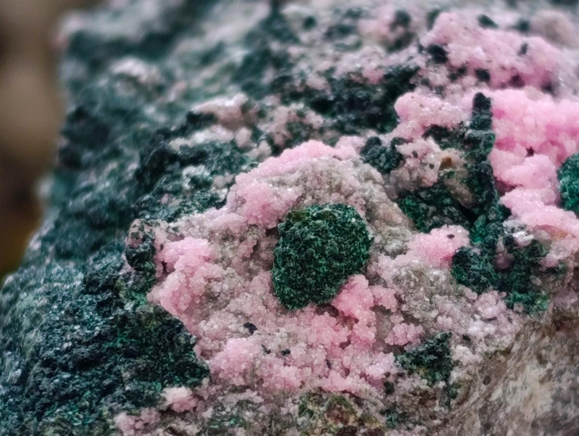 Natural XL Salrose Cobaltion Dolomite with Malachite and Heterogenite Specimen x 1 From Kakanda, Congo