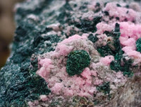 Natural XL Salrose Cobaltion Dolomite with Malachite and Heterogenite Specimen x 1 From Kakanda, Congo