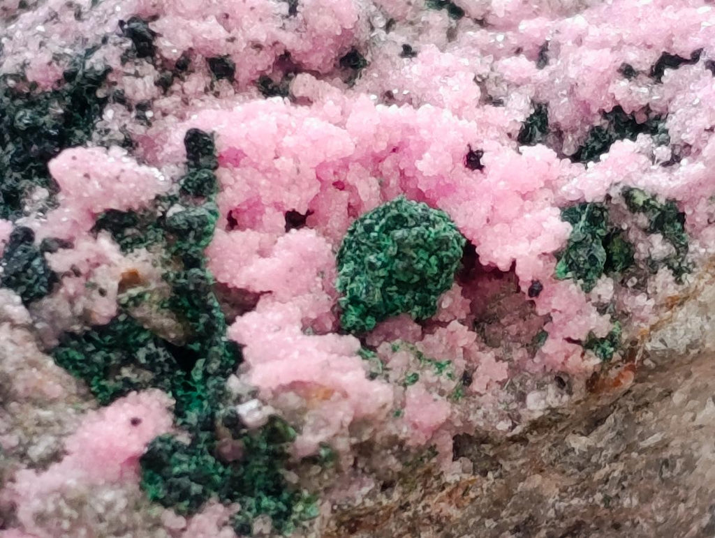 Natural XL Salrose Cobaltion Dolomite with Malachite and Heterogenite Specimen x 1 From Kakanda, Congo