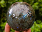 Polished Labradorite Spheres x 4 From Tulear, Madagascar