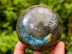 Polished Labradorite Spheres x 4 From Tulear, Madagascar