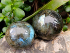 Polished Labradorite Spheres x 4 From Tulear, Madagascar
