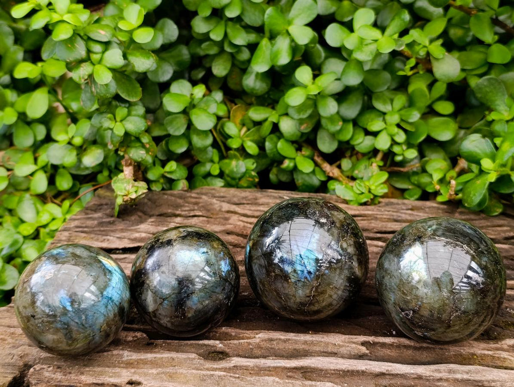 Polished Labradorite Spheres x 4 From Tulear, Madagascar