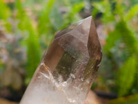 Polished Wispy Smokey Window Quartz Crystals x 6 From Anzojorabe, Madagascar