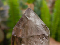 Polished Wispy Smokey Window Quartz Crystals x 6 From Anzojorabe, Madagascar