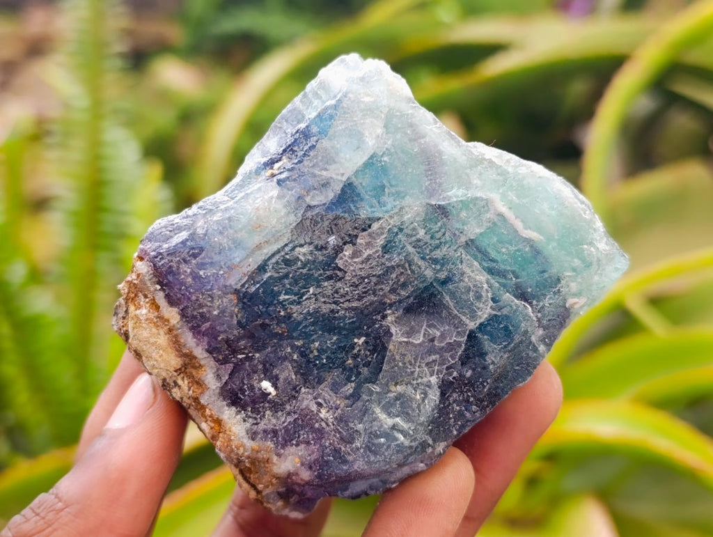 Natural Watermelon Fluorite Cobbed Specimens x 12 From Uis, Namibia