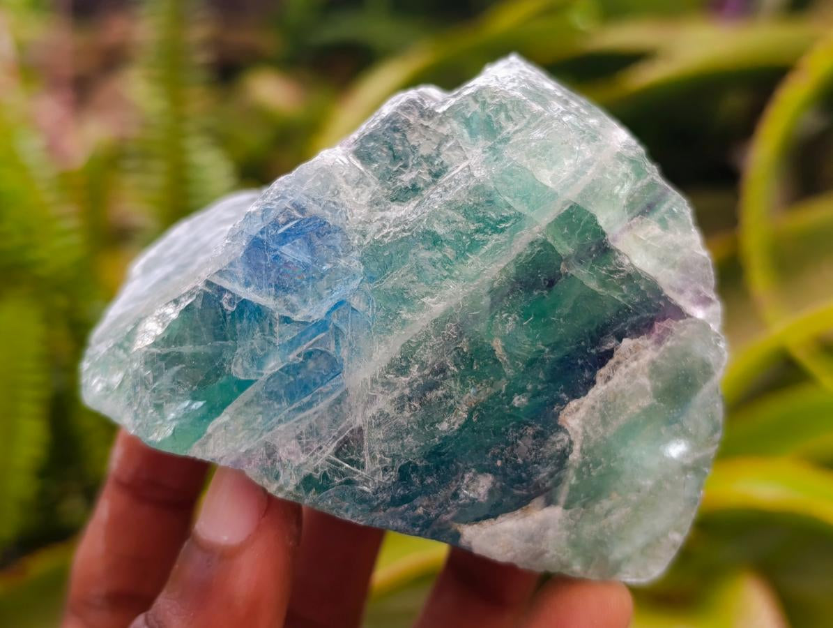 Natural Watermelon Fluorite Cobbed Specimens x 12 From Uis, Namibia