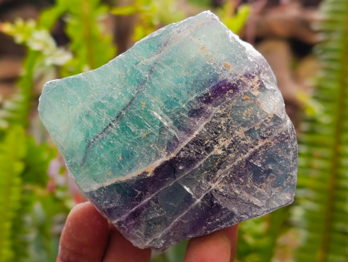 Natural Watermelon Fluorite Cobbed Specimens x 12 From Uis, Namibia