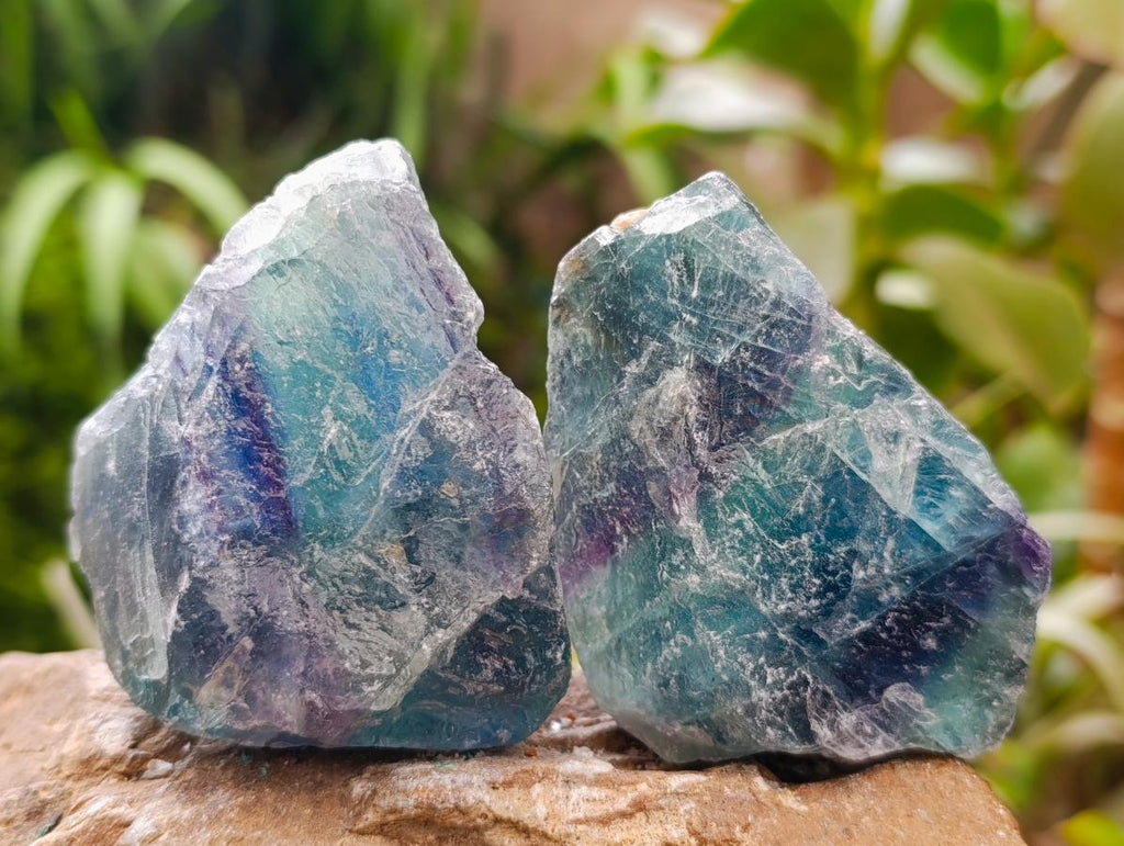 Natural Watermelon Fluorite Cobbed Specimens x 12 From Uis, Namibia