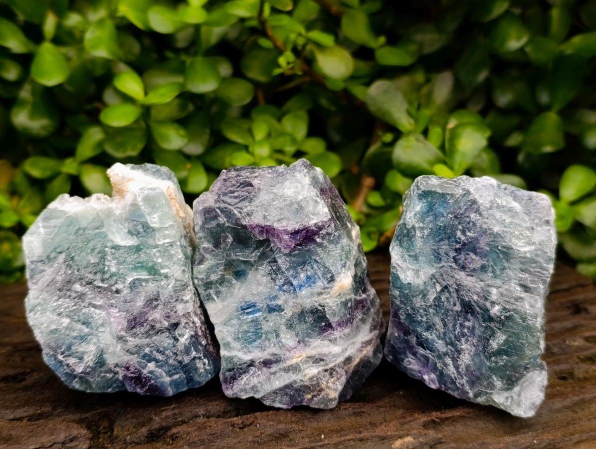 Natural Watermelon Fluorite Cobbed Specimens x 12 From Uis, Namibia