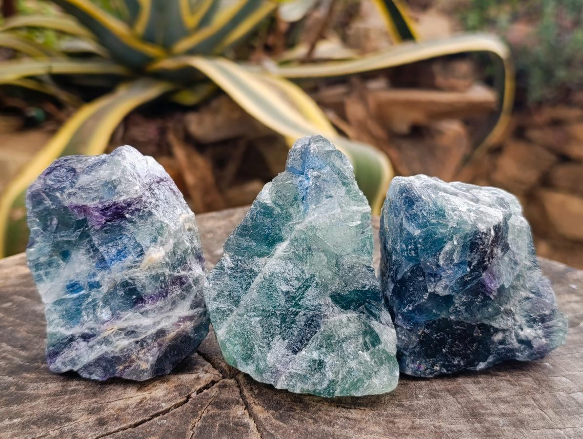 Natural Watermelon Fluorite Cobbed Specimens x 12 From Uis, Namibia