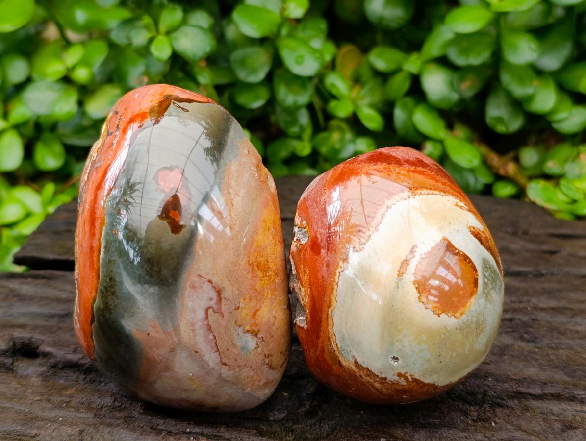 Polished On One Side Polychrome Jasper Nodules x 6 From NW Coast, Madagascar