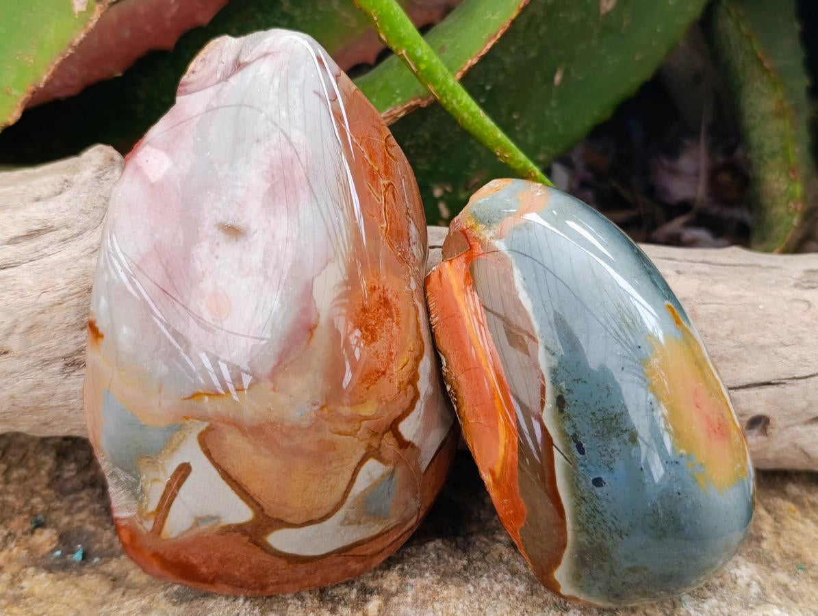 Polished On One Side Polychrome Jasper Nodules x 6 From NW Coast, Madagascar