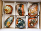Polished On One Side Polychrome Jasper Nodules x 6 From NW Coast, Madagascar