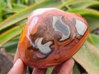 Polished On One Side Polychrome Jasper Nodules x 6 From NW Coast, Madagascar