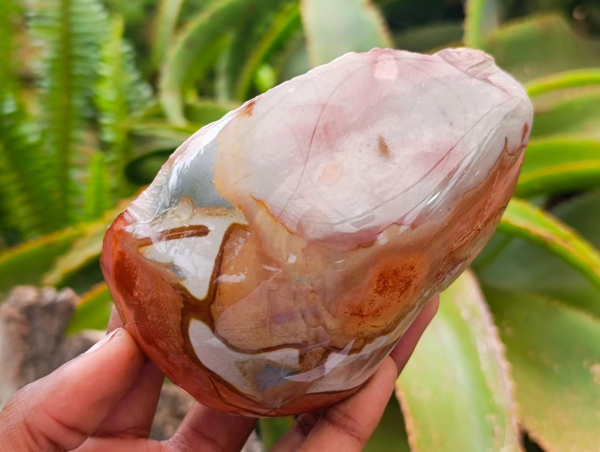 Polished On One Side Polychrome Jasper Nodules x 6 From NW Coast, Madagascar