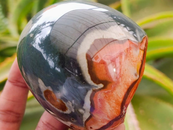Polished On One Side Polychrome Jasper Nodules x 6 From NW Coast, Madagascar