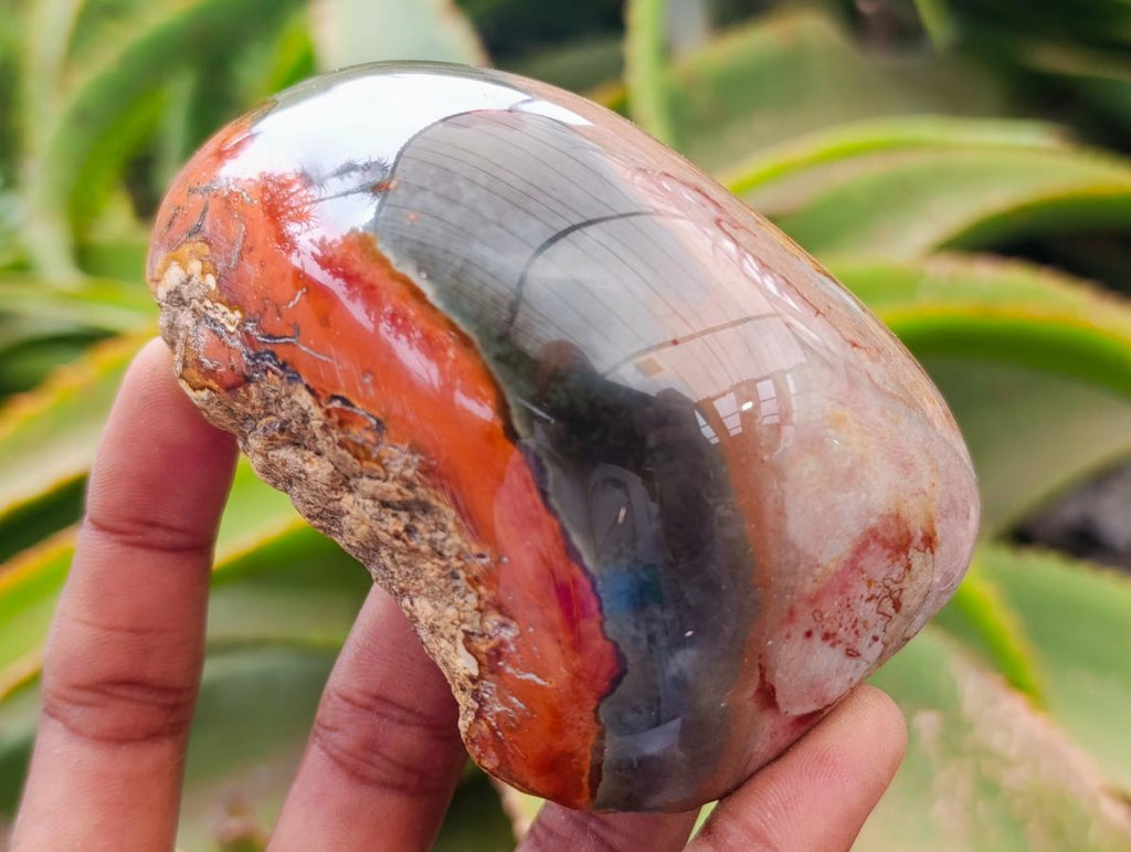 Polished On One Side Polychrome Jasper Nodules x 6 From NW Coast, Madagascar