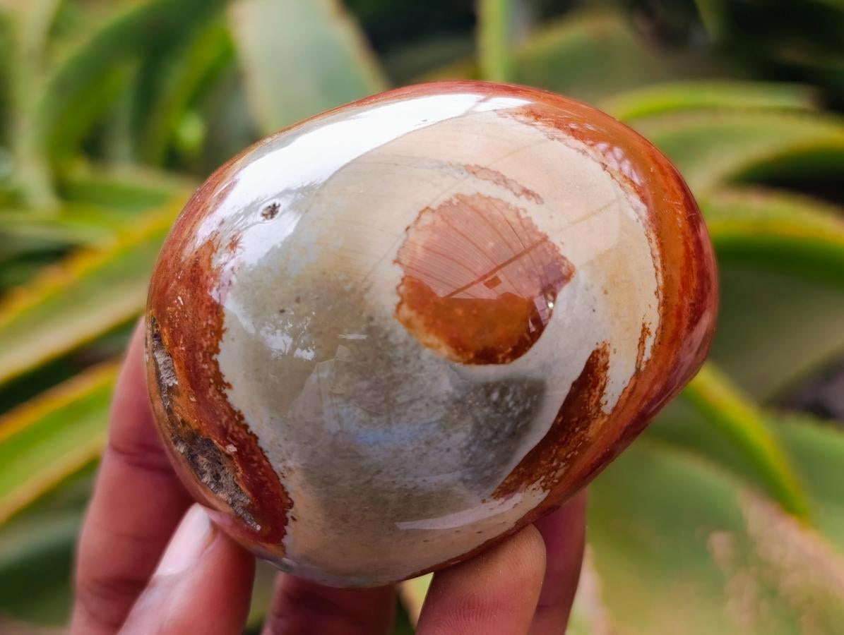Polished On One Side Polychrome Jasper Nodules x 6 From NW Coast, Madagascar