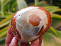 Polished On One Side Polychrome Jasper Nodules x 6 From NW Coast, Madagascar