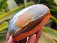 Polished On One Side Polychrome Jasper Nodules x 6 From NW Coast, Madagascar