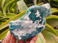 Polished On One Side Mtorolite Plates x 6 From Mutorashanga, Zimbabwe