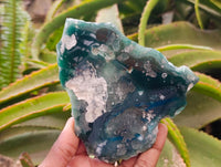 Polished On One Side Mtorolite Plates x 6 From Mutorashanga, Zimbabwe