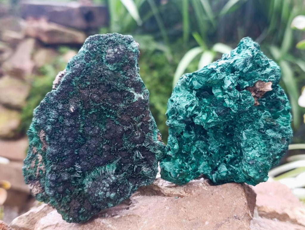 Natural Silky Malachite Specimens x 6 From Kasompe, Congo
