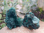 Natural Silky Malachite Specimens x 6 From Kasompe, Congo