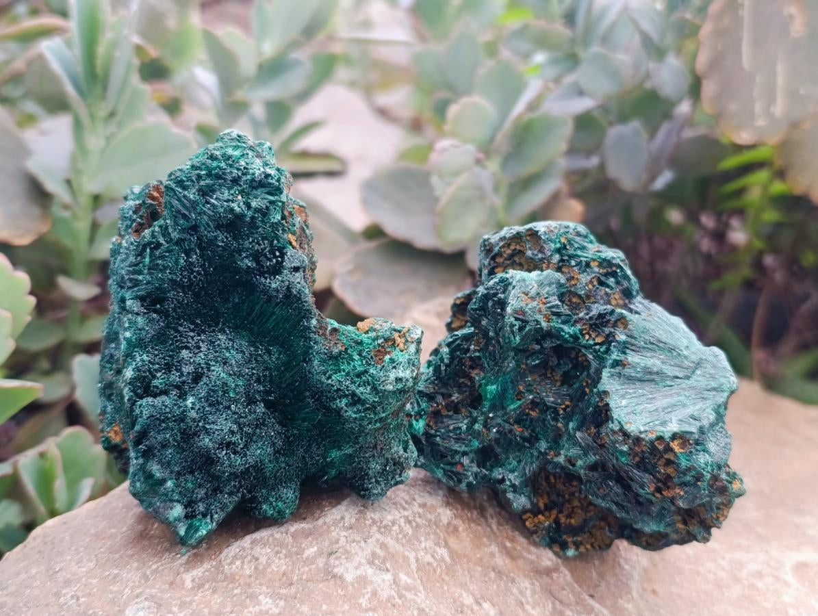Natural Silky Malachite Specimens x 6 From Kasompe, Congo