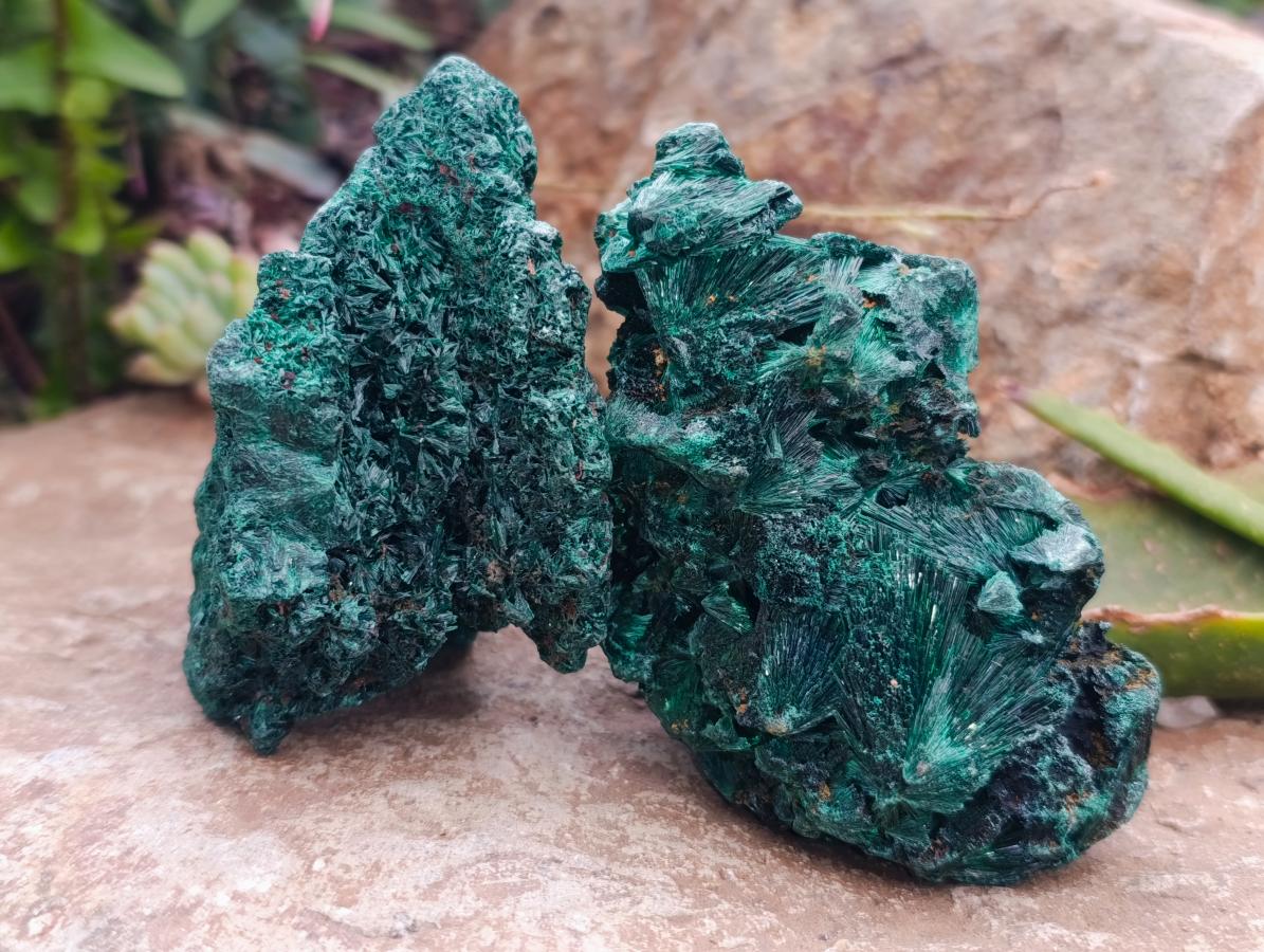 Natural Silky Malachite Specimens x 6 From Kasompe, Congo