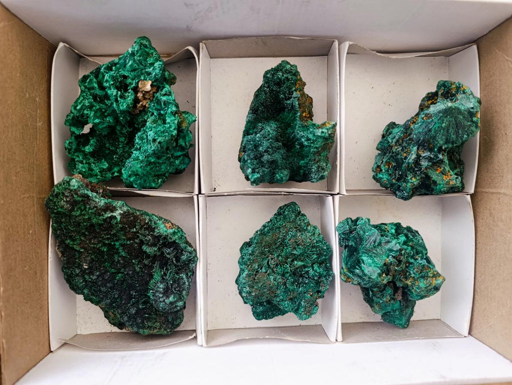 Natural Silky Malachite Specimens x 6 From Kasompe, Congo