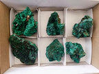 Natural Silky Malachite Specimens x 6 From Kasompe, Congo