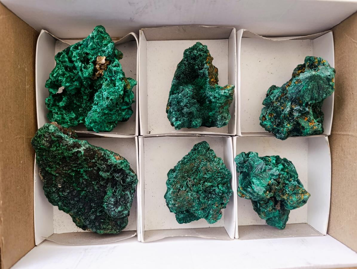 Natural Silky Malachite Specimens x 6 From Kasompe, Congo