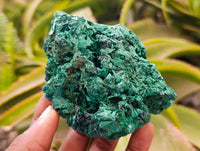 Natural Silky Malachite Specimens x 6 From Kasompe, Congo