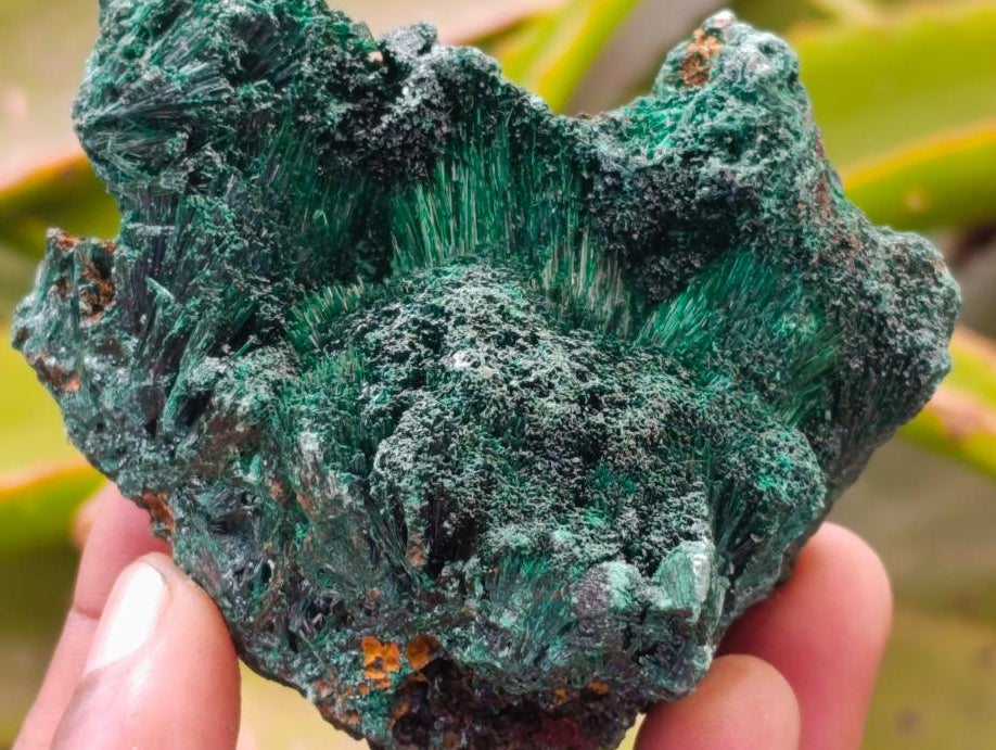 Natural Silky Malachite Specimens x 6 From Kasompe, Congo