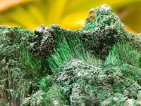 Natural Silky Malachite Specimens x 6 From Kasompe, Congo