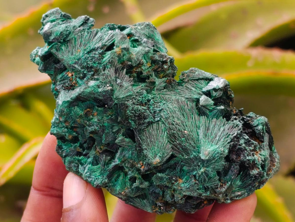 Natural Silky Malachite Specimens x 6 From Kasompe, Congo