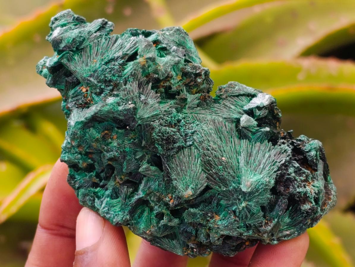Natural Silky Malachite Specimens x 6 From Kasompe, Congo