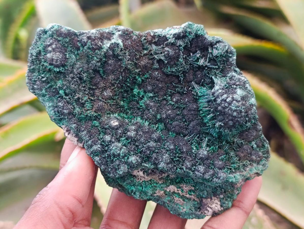 Natural Silky Malachite Specimens x 6 From Kasompe, Congo