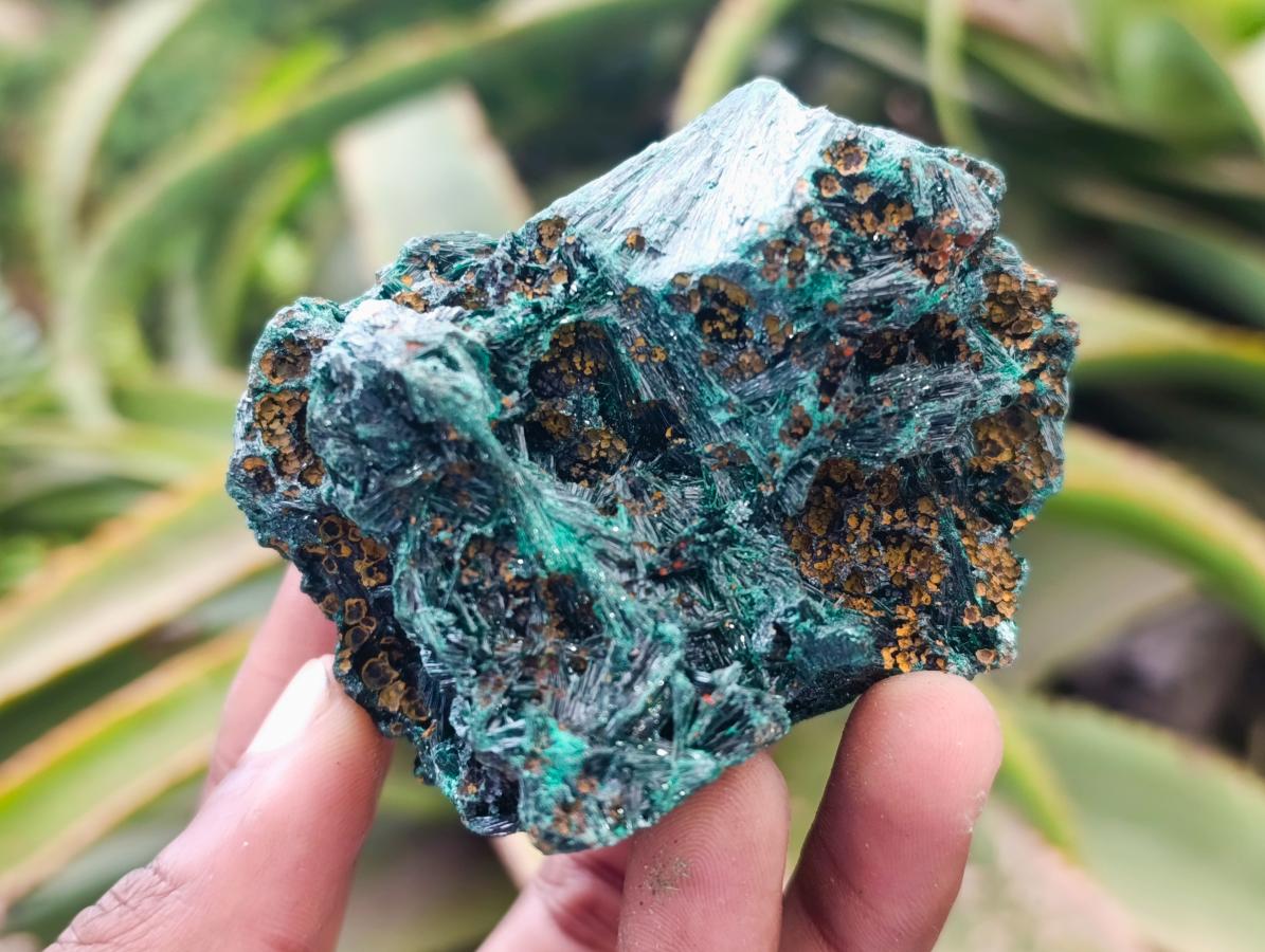 Natural Silky Malachite Specimens x 6 From Kasompe, Congo